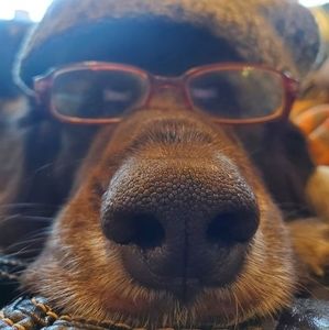 Meet your Posher, Matt